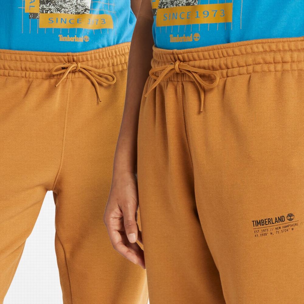 Dámské Kalhoty Timberland Luxe Pohodlí Sweatpants Hnědé | TI87215-603