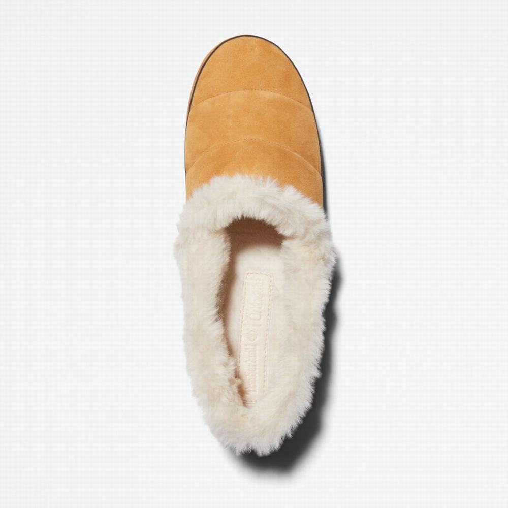 Dámské Pantofle Timberland Joslin Hnědé | TI03261-932