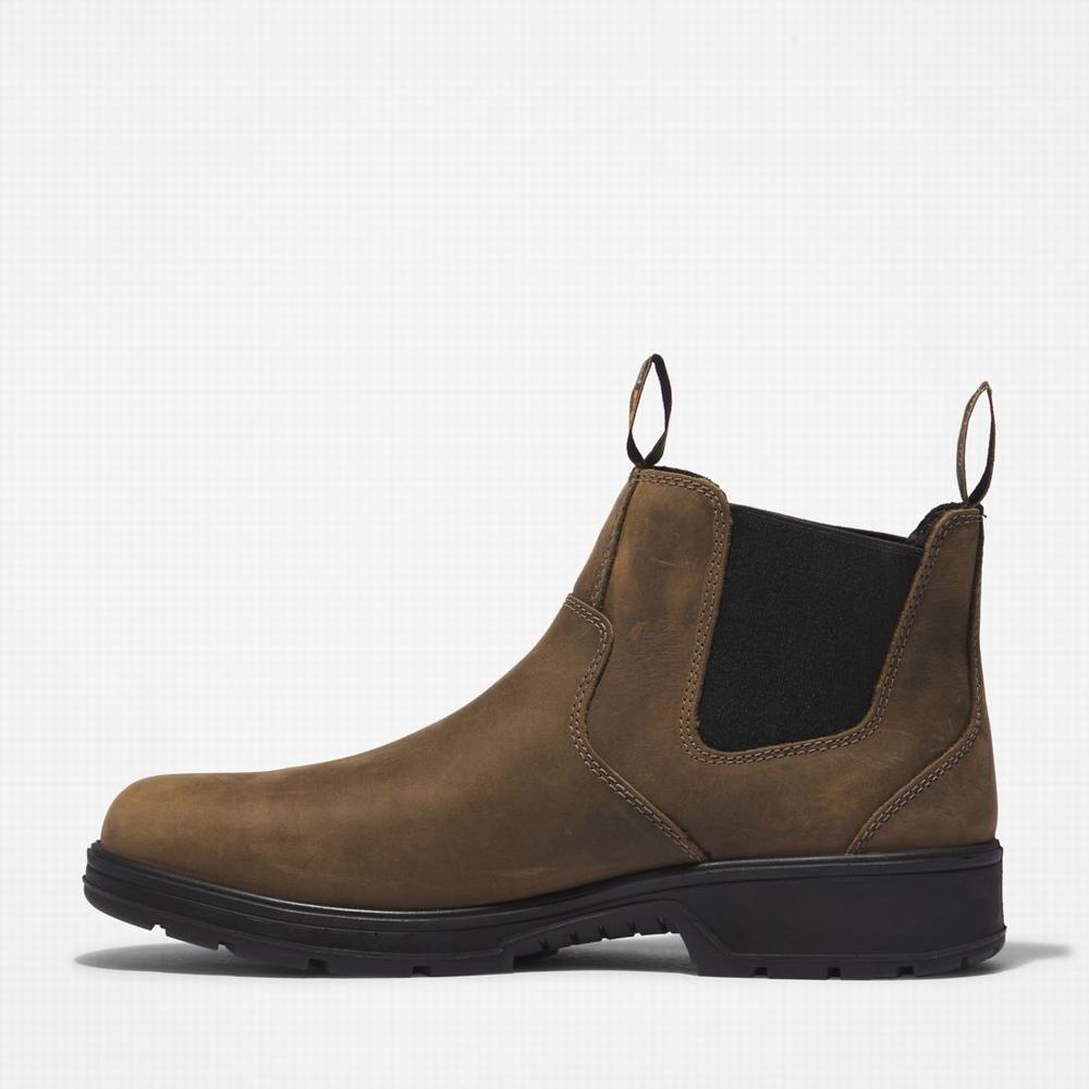 Dámské Pracovní Boty Timberland Nashoba Běžné Composite Špicí Káva | TI06487-820