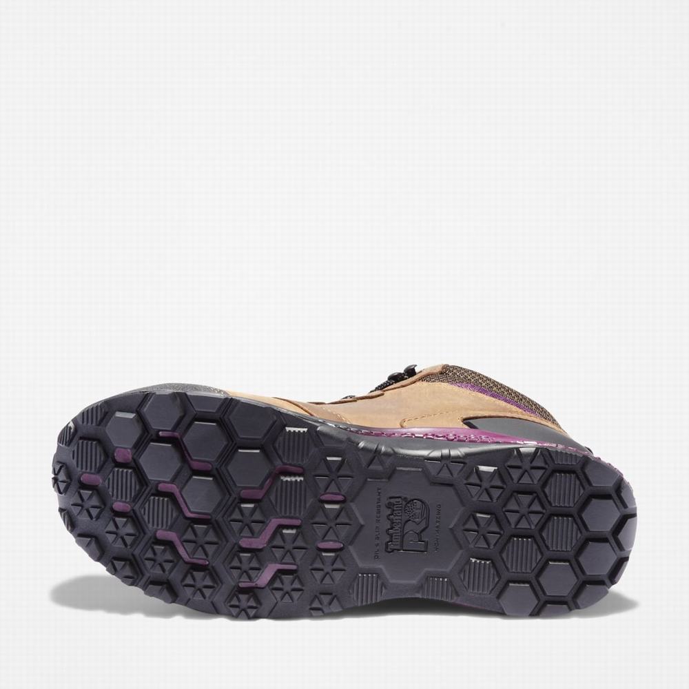 Dámské Pracovní Boty Timberland Reaxion Composite Špicí Waterproof Pracovní Sneaker Hnědé Fialové | TI18490-023