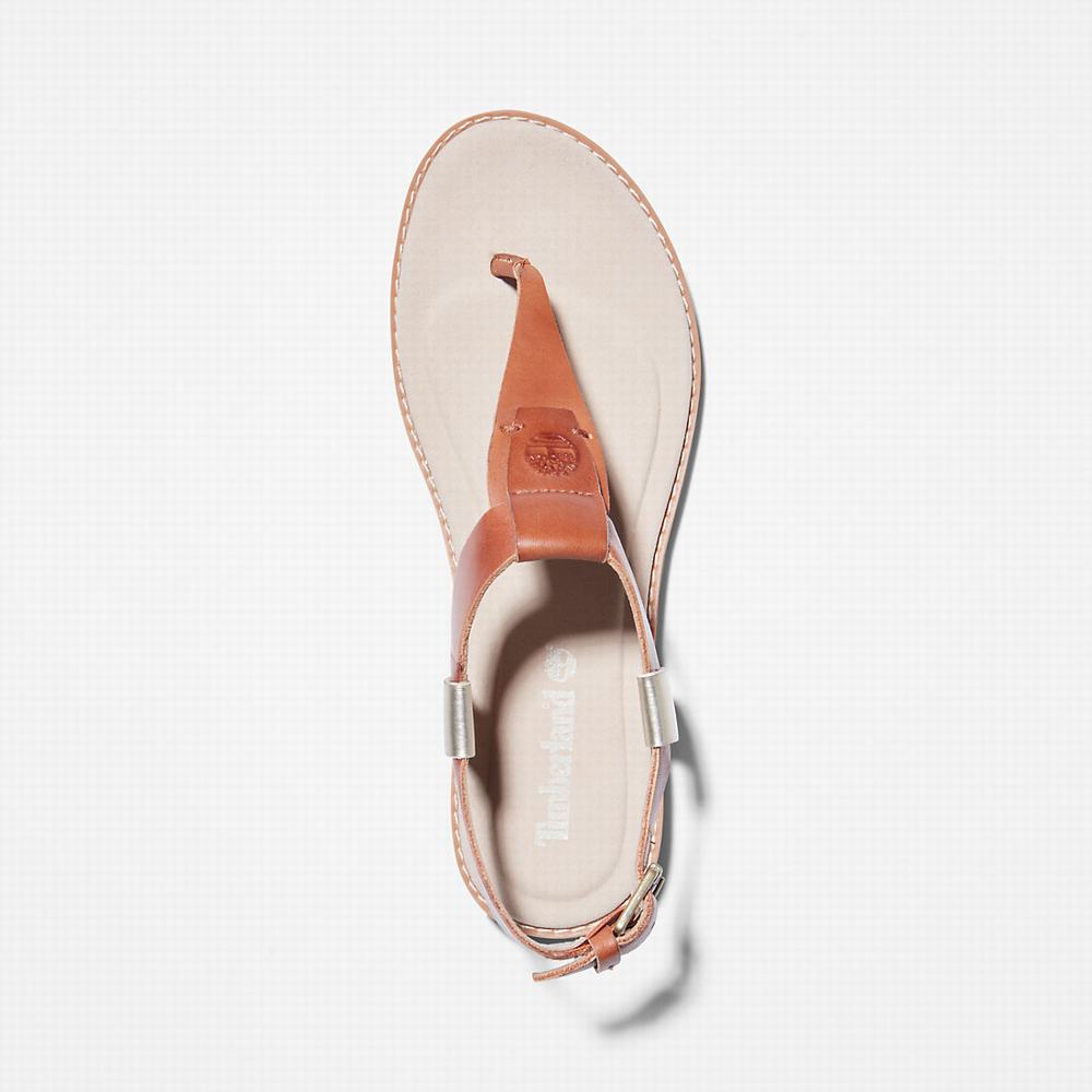Dámské Sandály Timberland Chicago Riverside Tanga Hnědé | TI60457-963