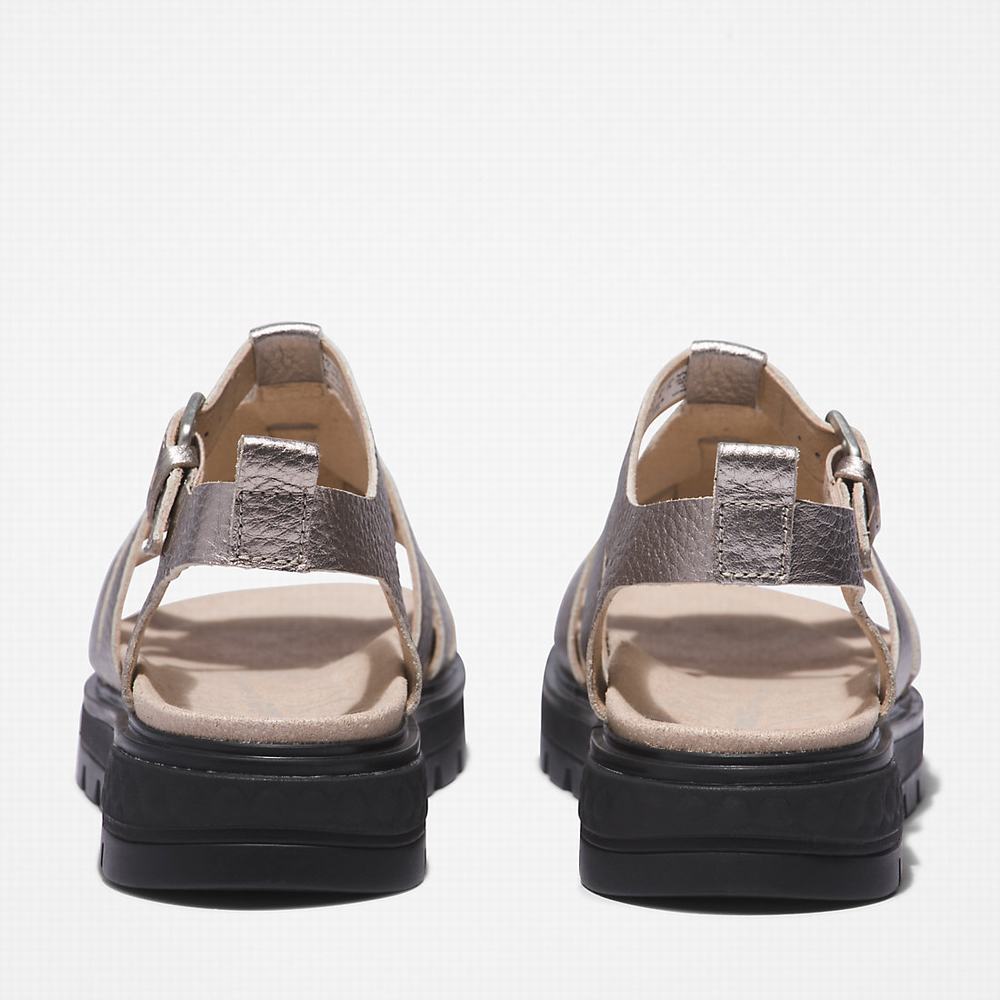 Dámské Sandály Timberland GreenStride™ Ray City Stříbrné | TI61023-159