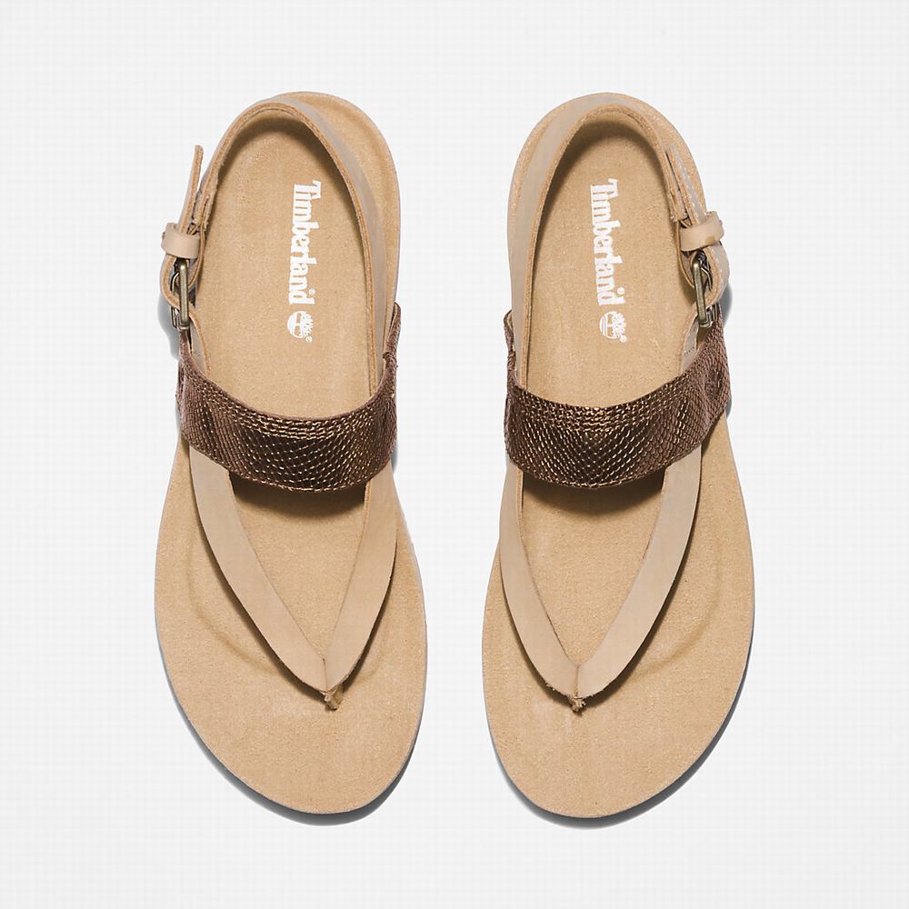 Dámské Sandály Timberland Malibu Beach Flip-Flop Béžový | TI13246-795