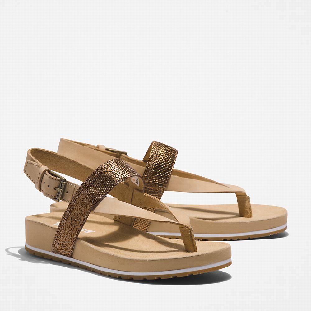 Dámské Sandály Timberland Malibu Beach Flip-Flop Béžový | TI13246-795