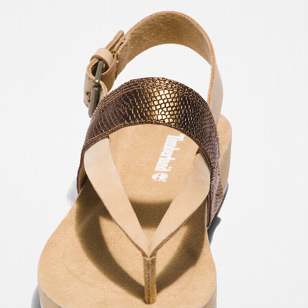 Dámské Sandály Timberland Malibu Beach Flip-Flop Béžový | TI13246-795