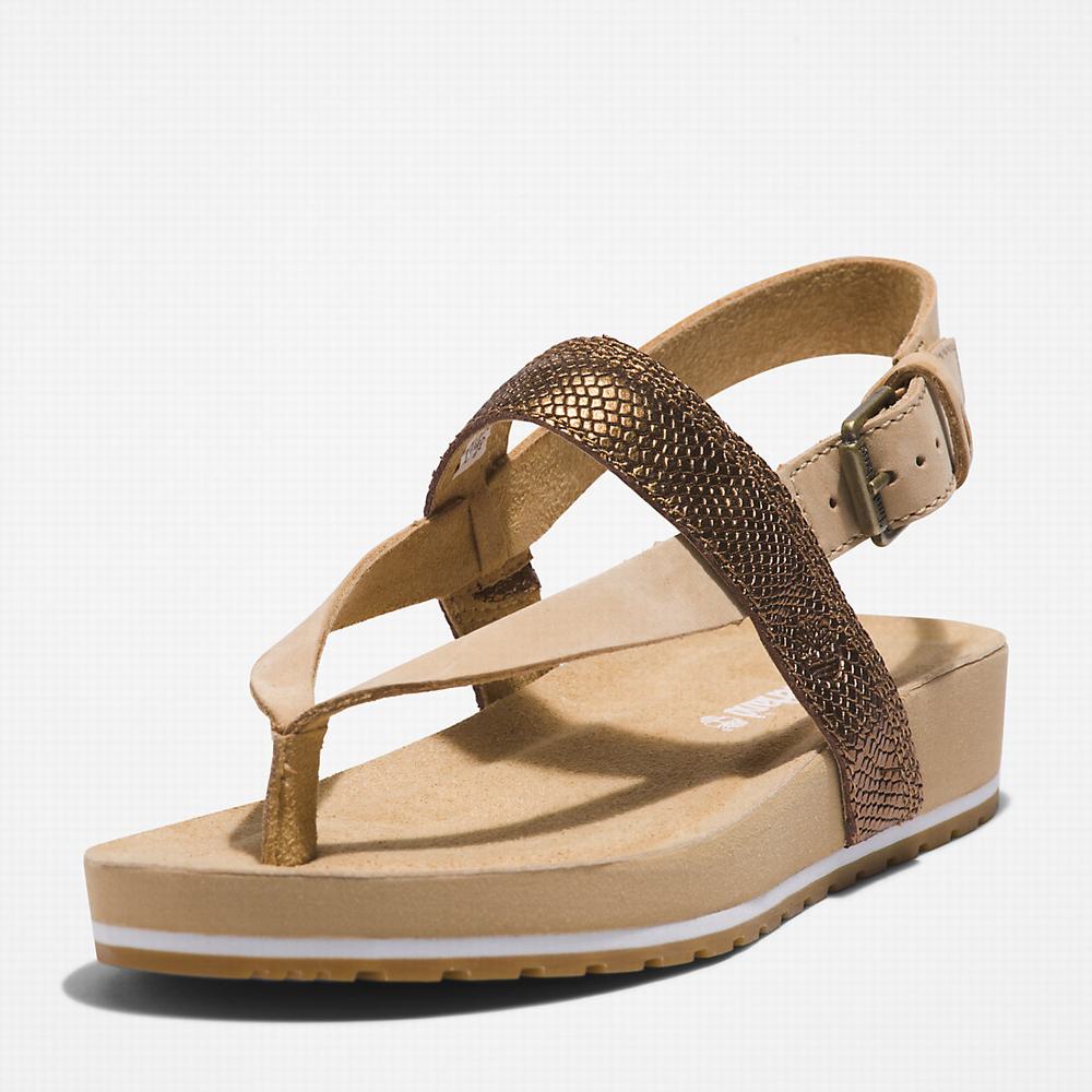 Dámské Sandály Timberland Malibu Beach Flip-Flop Béžový | TI13246-795