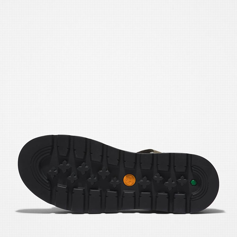 Dámské Sandály Timberland Ray City Ankle Páskové Tmavě Zelene | TI17530-834
