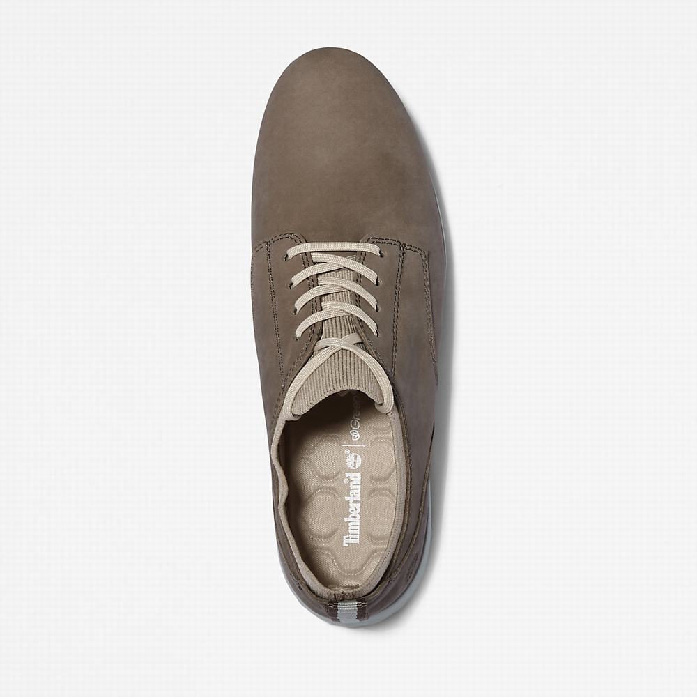 Dámské Tenisky Timberland Bradstreet Ultra Greige | TI82471-635