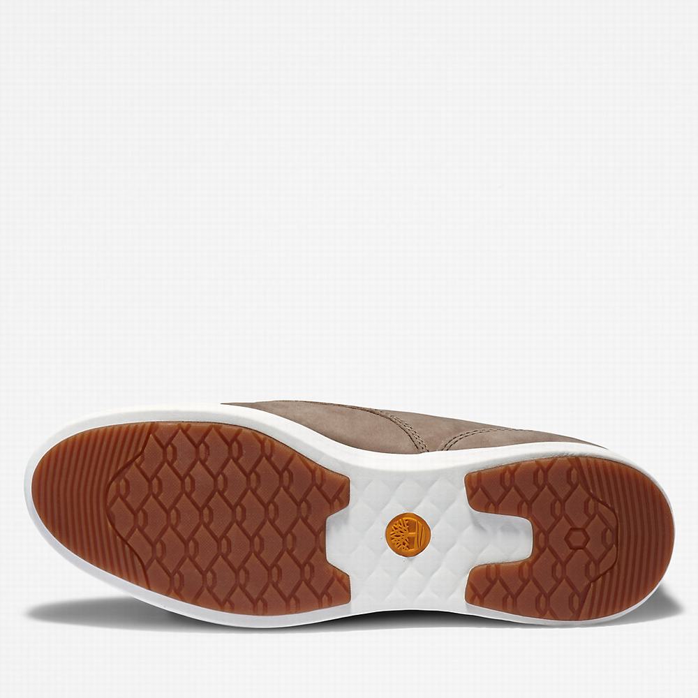 Dámské Tenisky Timberland Bradstreet Ultra Greige | TI82471-635