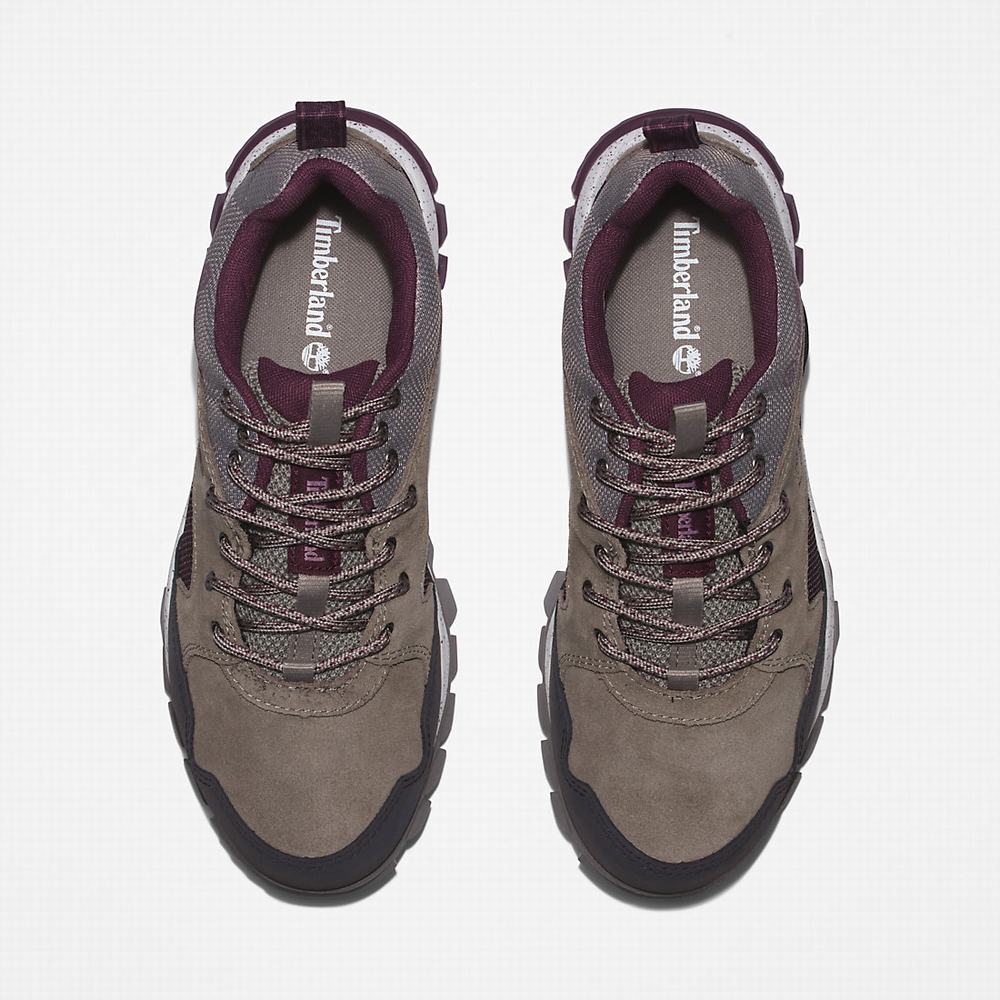 Dámské Tenisky Timberland Garrison Trailové Šedé | TI93854-751