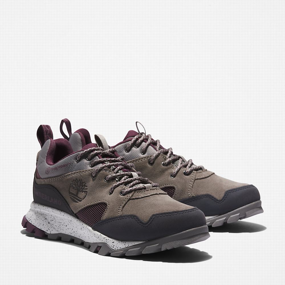 Dámské Tenisky Timberland Garrison Trailové Šedé | TI93854-751
