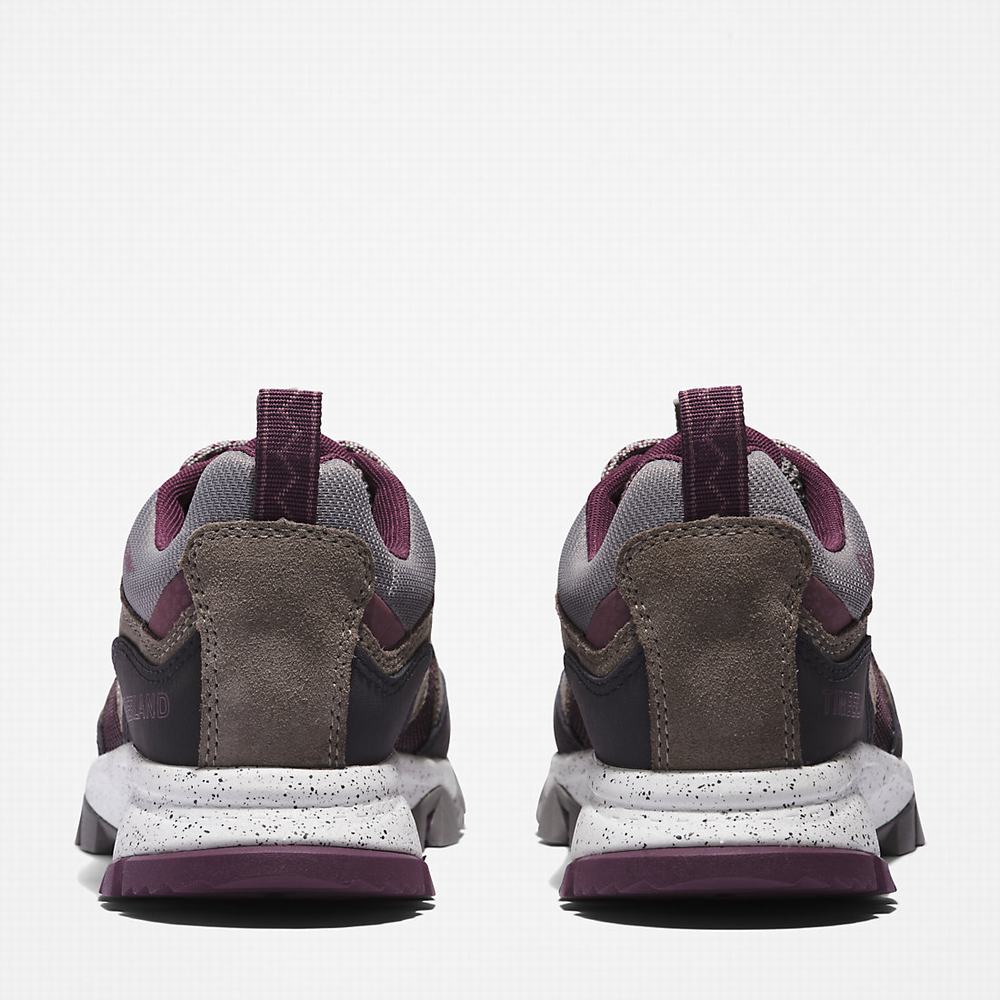 Dámské Tenisky Timberland Garrison Trailové Šedé | TI93854-751