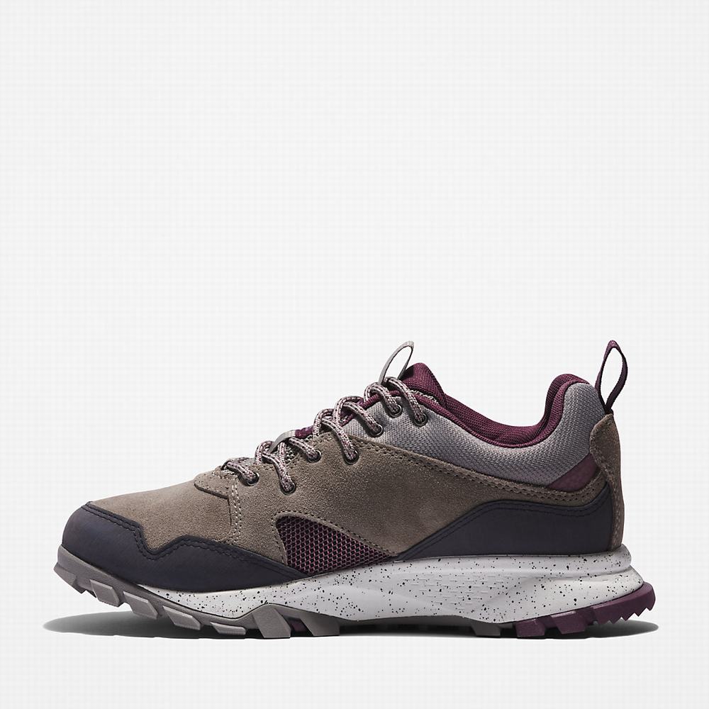 Dámské Tenisky Timberland Garrison Trailové Šedé | TI93854-751