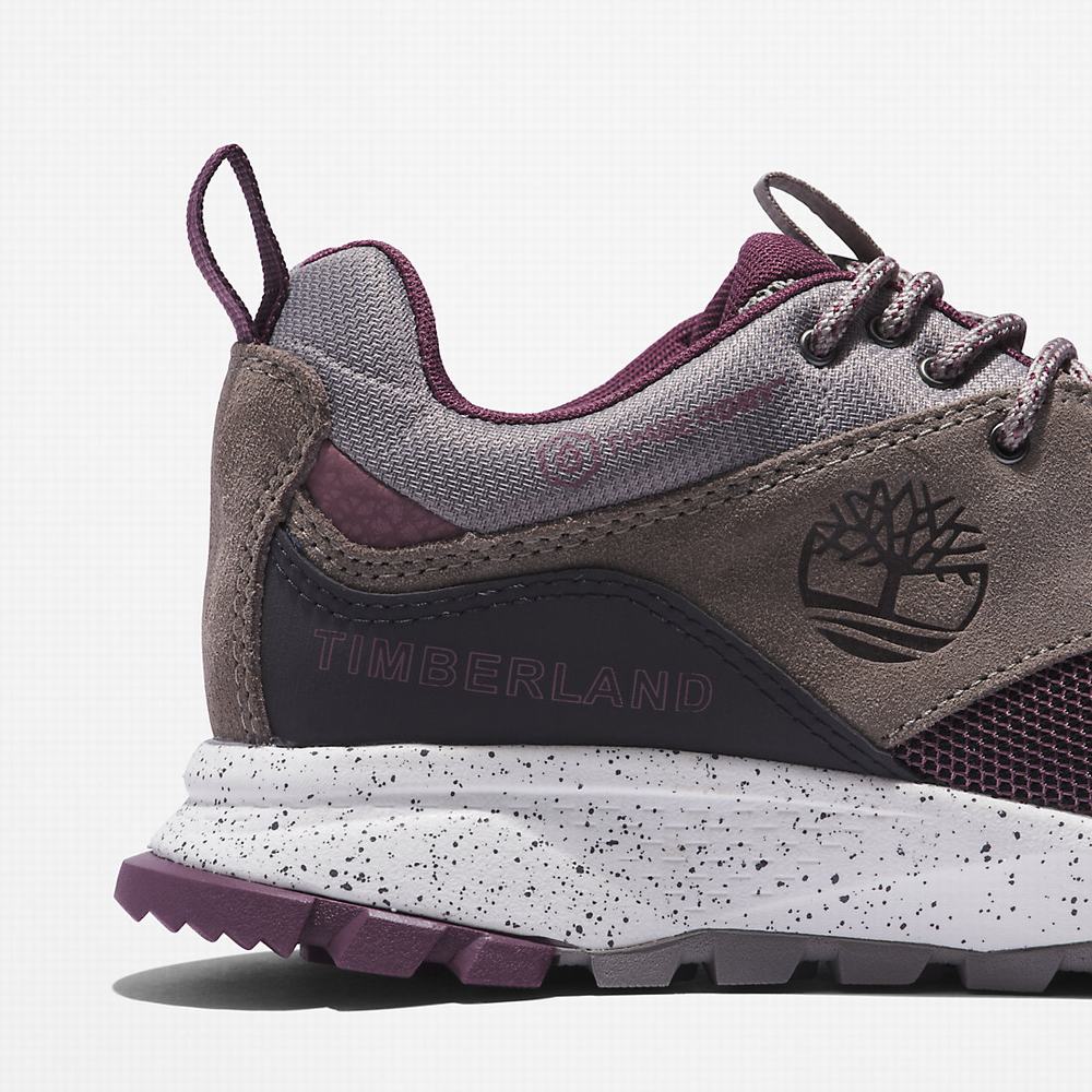 Dámské Tenisky Timberland Garrison Trailové Šedé | TI93854-751