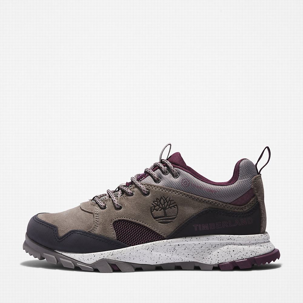 Dámské Tenisky Timberland Garrison Trailové Šedé | TI93854-751