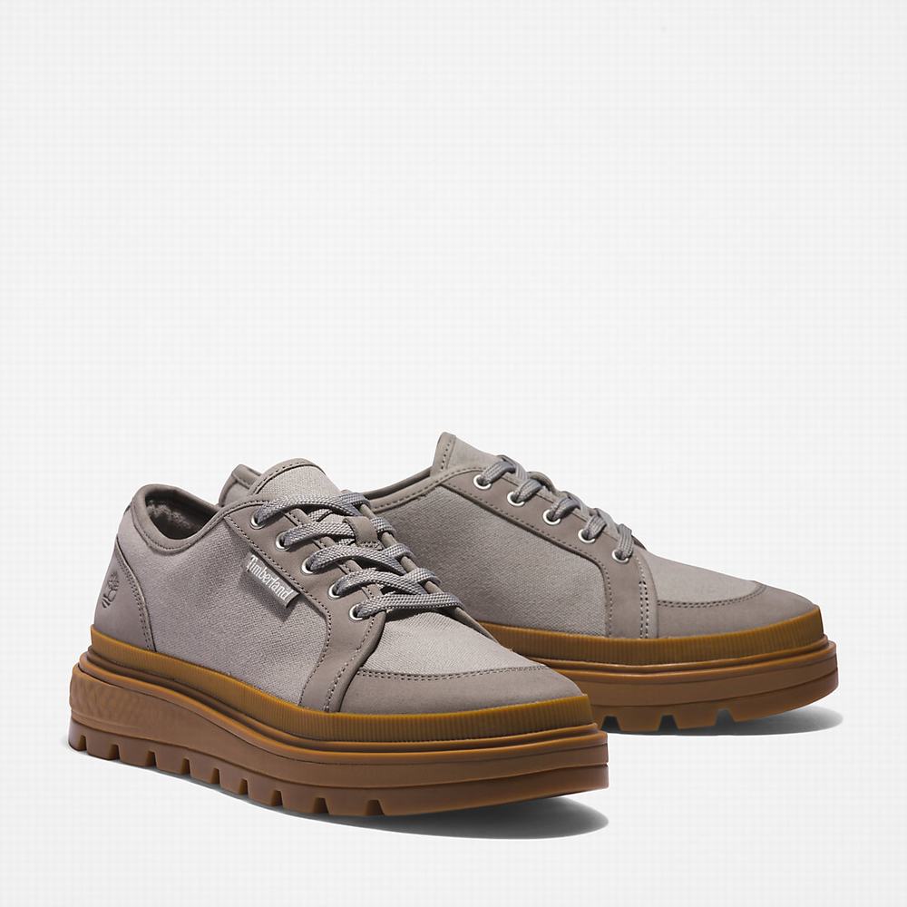 Dámské Tenisky Timberland GreenStride™ Ray City EK+ Šedé | TI34589-156