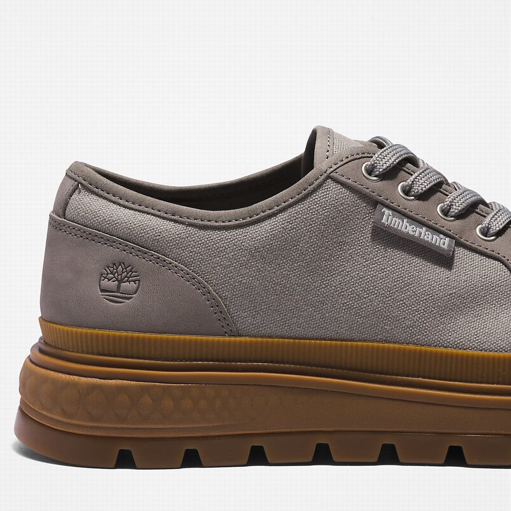 Dámské Tenisky Timberland GreenStride™ Ray City EK+ Šedé | TI34589-156