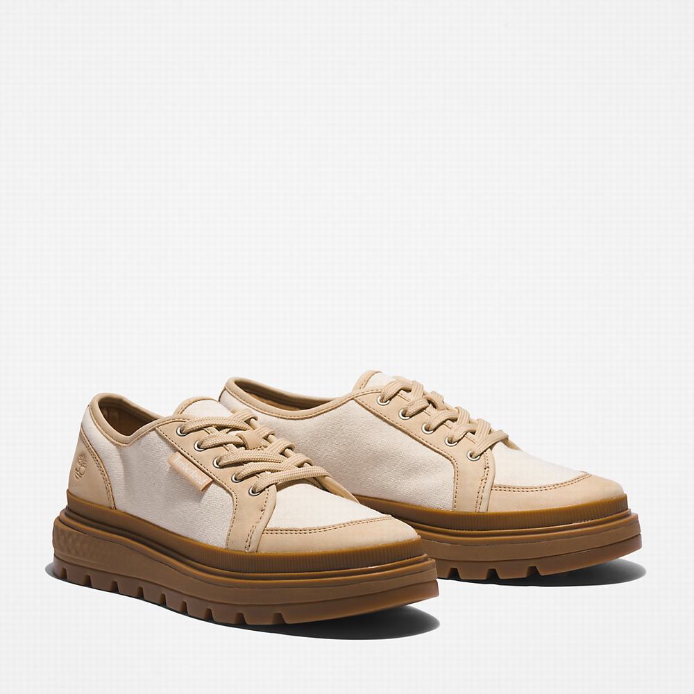 Dámské Tenisky Timberland GreenStride™ Ray City EK+ Béžový | TI52073-695