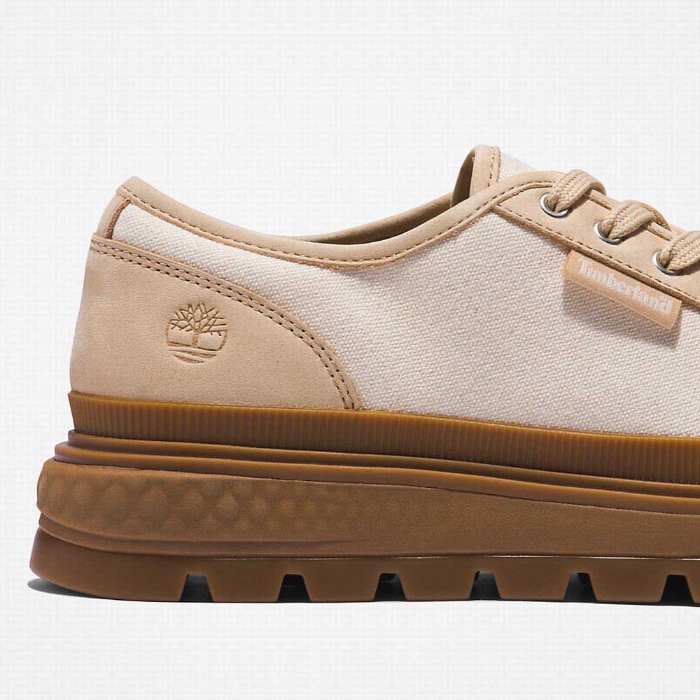 Dámské Tenisky Timberland GreenStride™ Ray City EK+ Béžový | TI52073-695