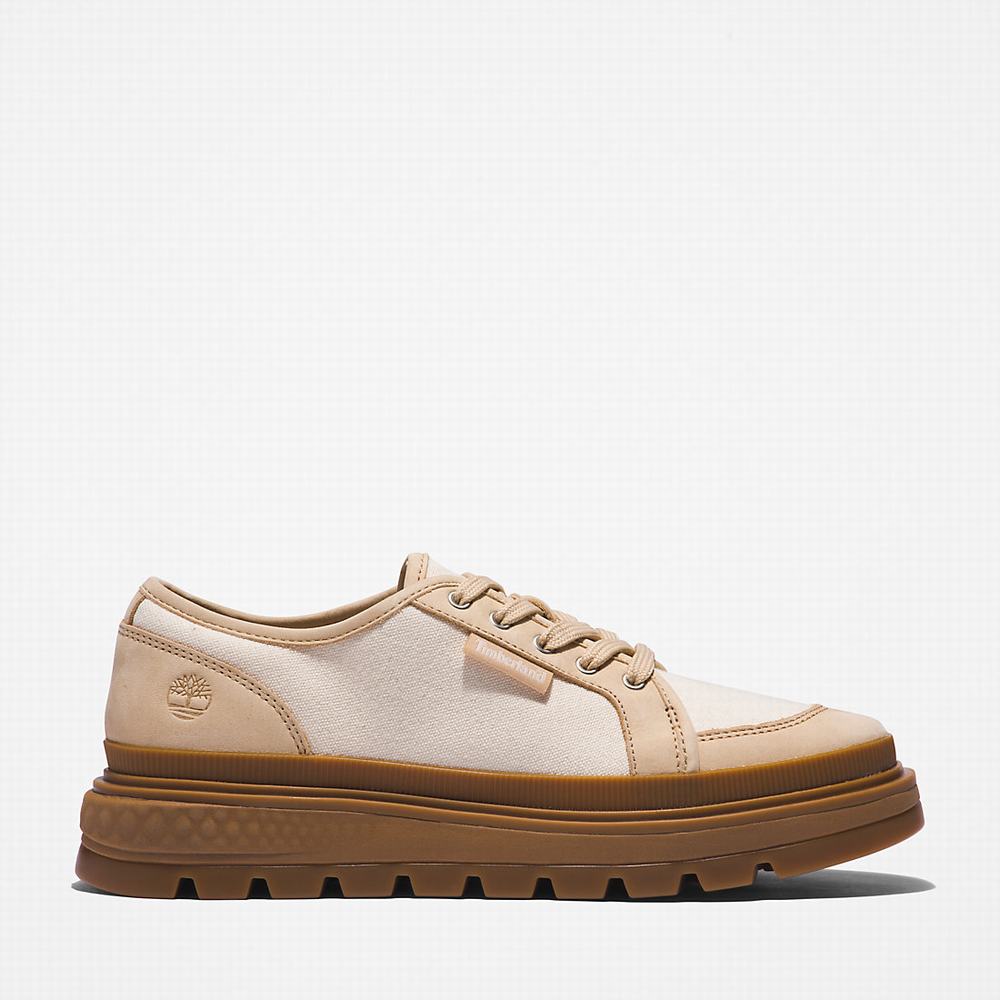 Dámské Tenisky Timberland GreenStride™ Ray City EK+ Béžový | TI52073-695