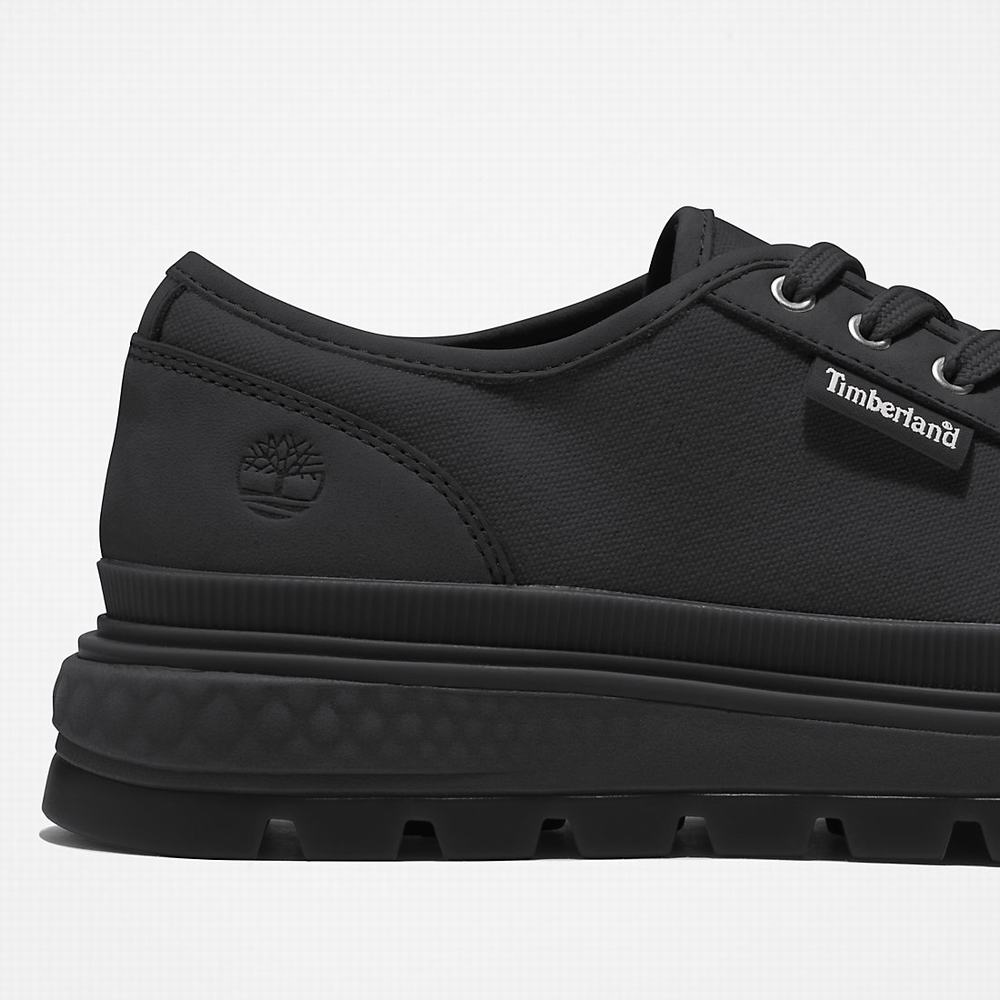 Dámské Tenisky Timberland GreenStride™ Ray City Černé | TI91423-082