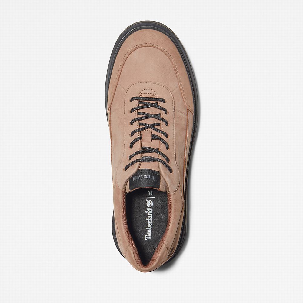Dámské Tenisky Timberland Ray City Oxford Shoe Hnědé | TI56931-493