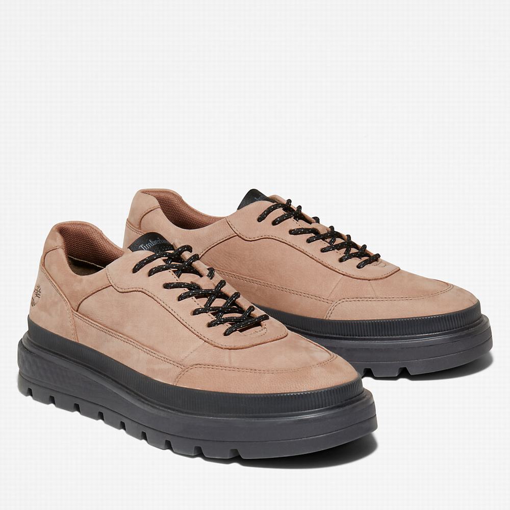 Dámské Tenisky Timberland Ray City Oxford Shoe Hnědé | TI56931-493
