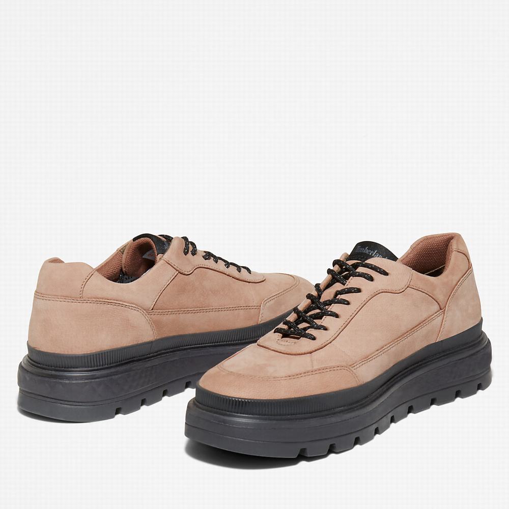 Dámské Tenisky Timberland Ray City Oxford Shoe Hnědé | TI56931-493