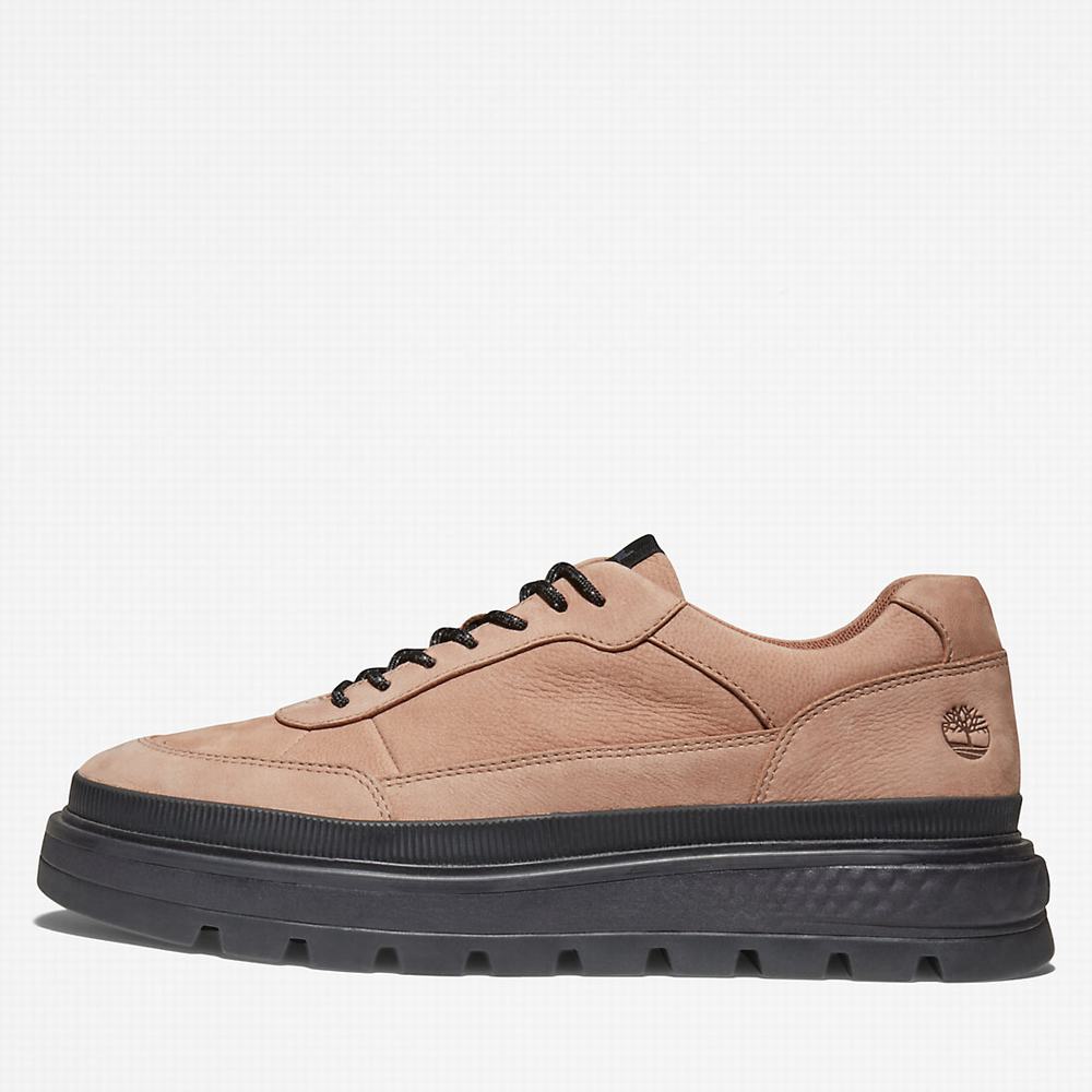 Dámské Tenisky Timberland Ray City Oxford Shoe Hnědé | TI56931-493