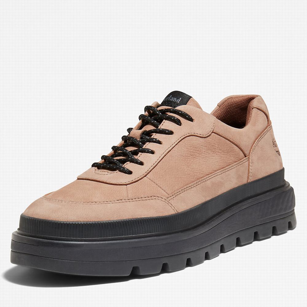 Dámské Tenisky Timberland Ray City Oxford Shoe Hnědé | TI56931-493
