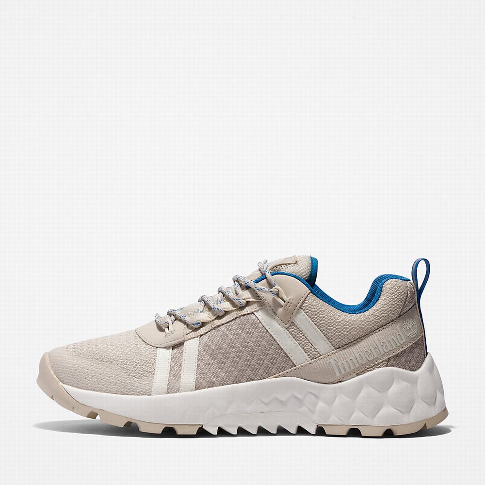 Dámské Tenisky Timberland Solar Wave LT Béžový | TI28310-284