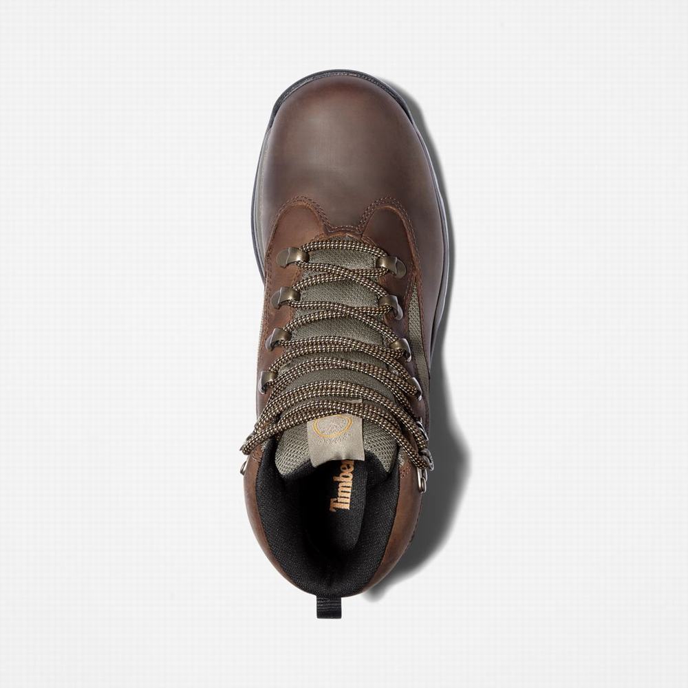 Dámské Trekové Boty Timberland Chocorua Trailové Mid Waterproof Tmavě Hnědé Zelene | TI16305-124