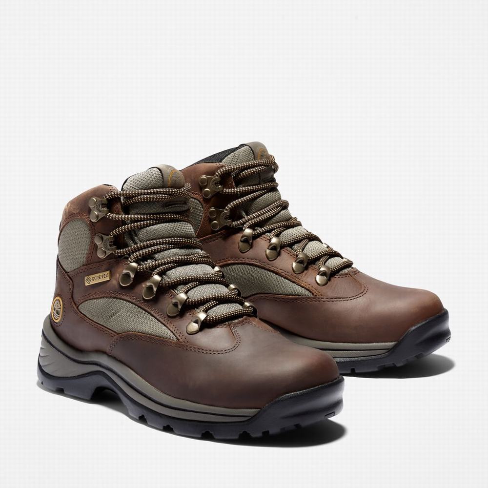 Dámské Trekové Boty Timberland Chocorua Trailové Mid Waterproof Tmavě Hnědé Zelene | TI16305-124