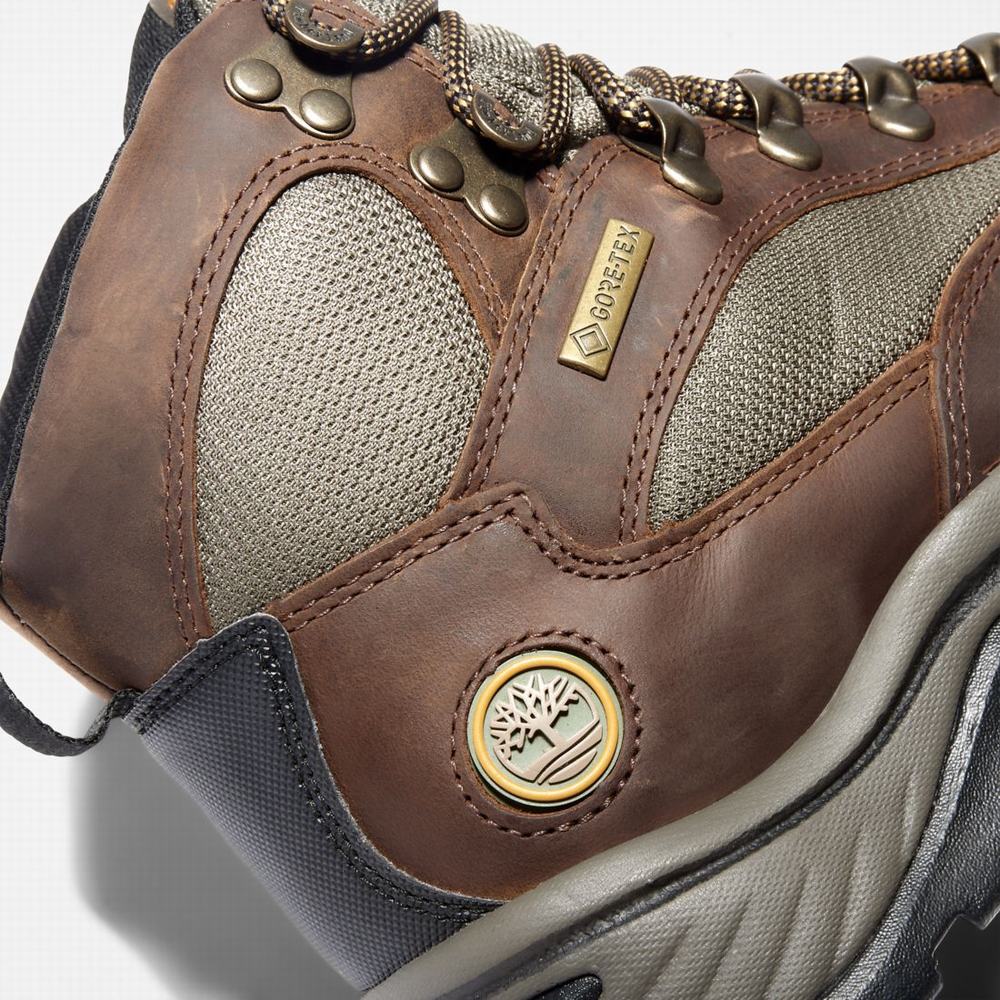 Dámské Trekové Boty Timberland Chocorua Trailové Mid Waterproof Tmavě Hnědé Zelene | TI16305-124