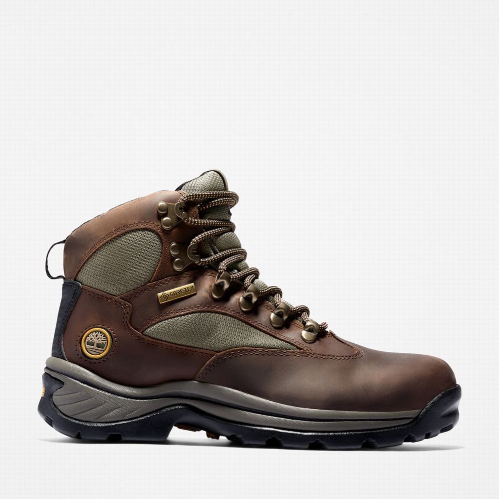 Dámské Trekové Boty Timberland Chocorua Trailové Mid Waterproof Tmavě Hnědé Zelene | TI16305-124