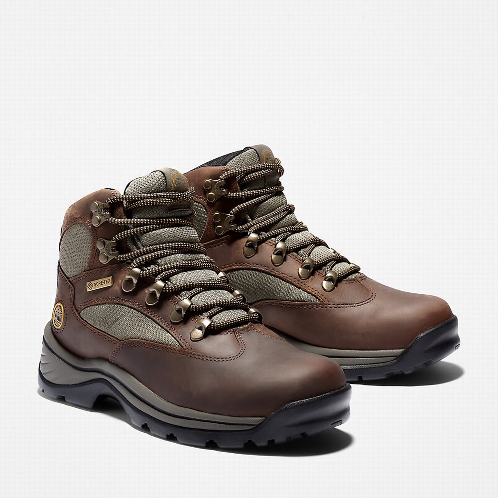 Dámské Trekové Boty Timberland Chocorua Gore-Tex® Hiker Hnědé | TI47698-620