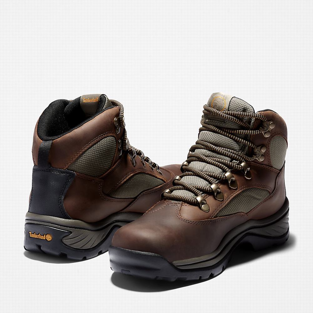 Dámské Trekové Boty Timberland Chocorua Gore-Tex® Hiker Hnědé | TI47698-620