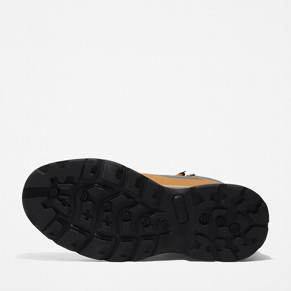 Dámské Trekové Boty Timberland Chocorua Gore-Tex® Světle Hnědé | TI75128-283