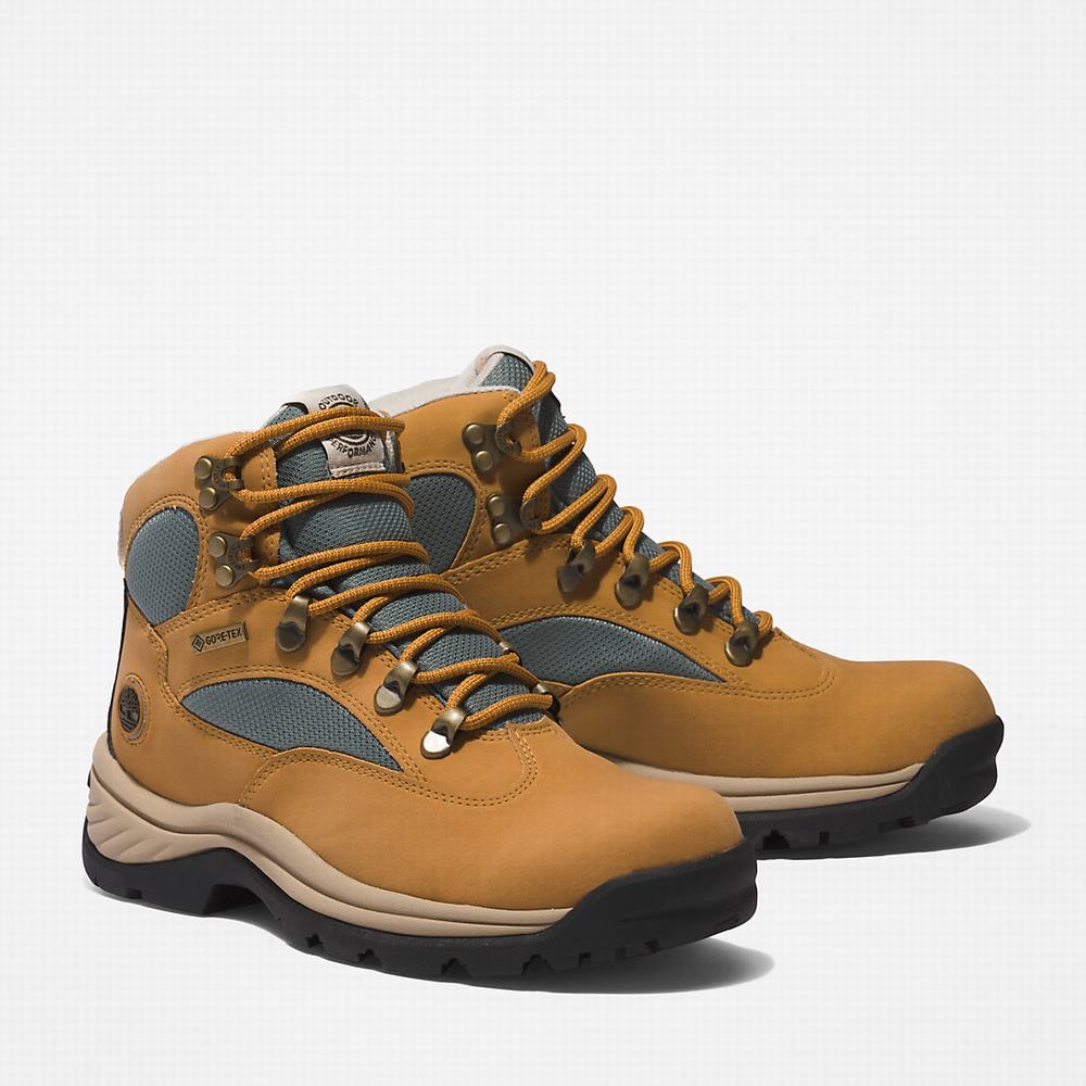 Dámské Trekové Boty Timberland Chocorua Gore-Tex® Světle Hnědé | TI75128-283