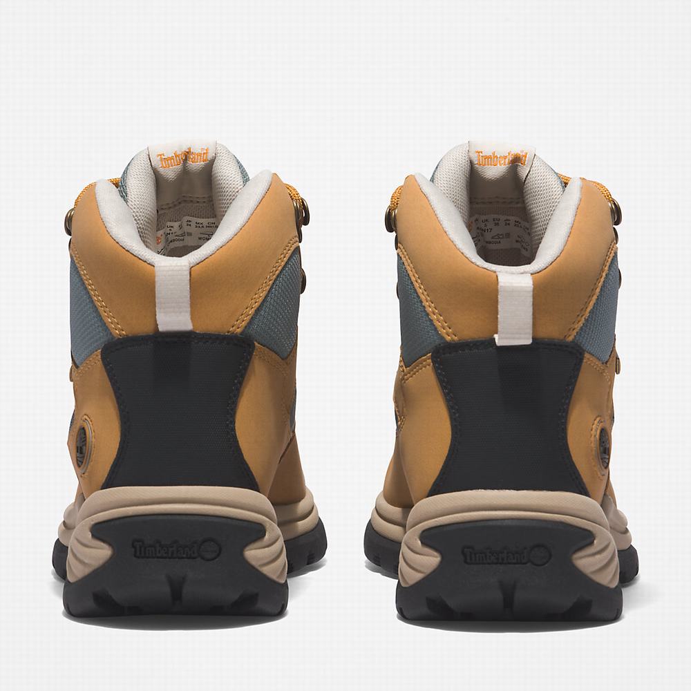 Dámské Trekové Boty Timberland Chocorua Gore-Tex® Světle Hnědé | TI75128-283