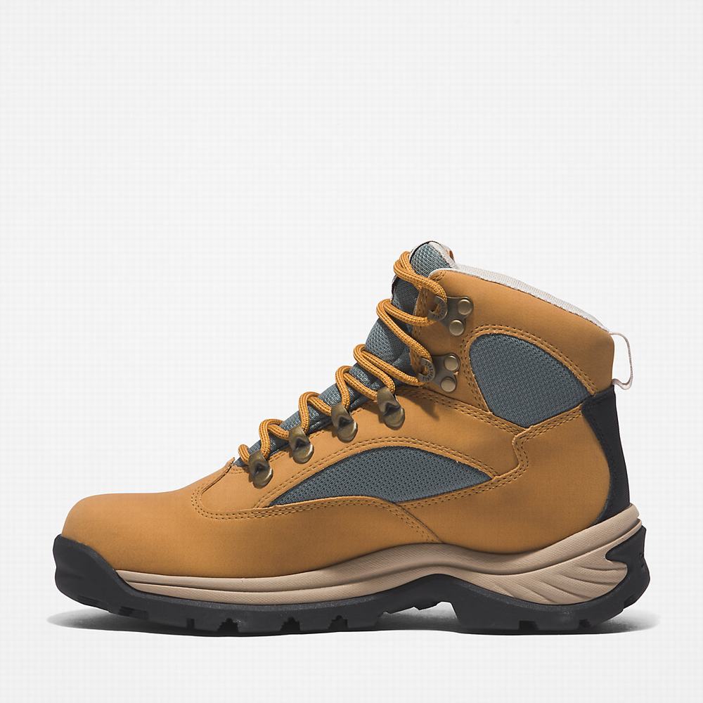 Dámské Trekové Boty Timberland Chocorua Gore-Tex® Světle Hnědé | TI75128-283