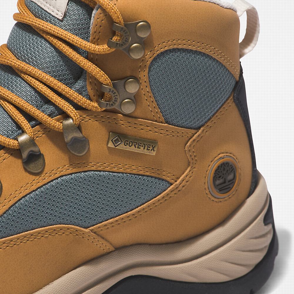 Dámské Trekové Boty Timberland Chocorua Gore-Tex® Světle Hnědé | TI75128-283
