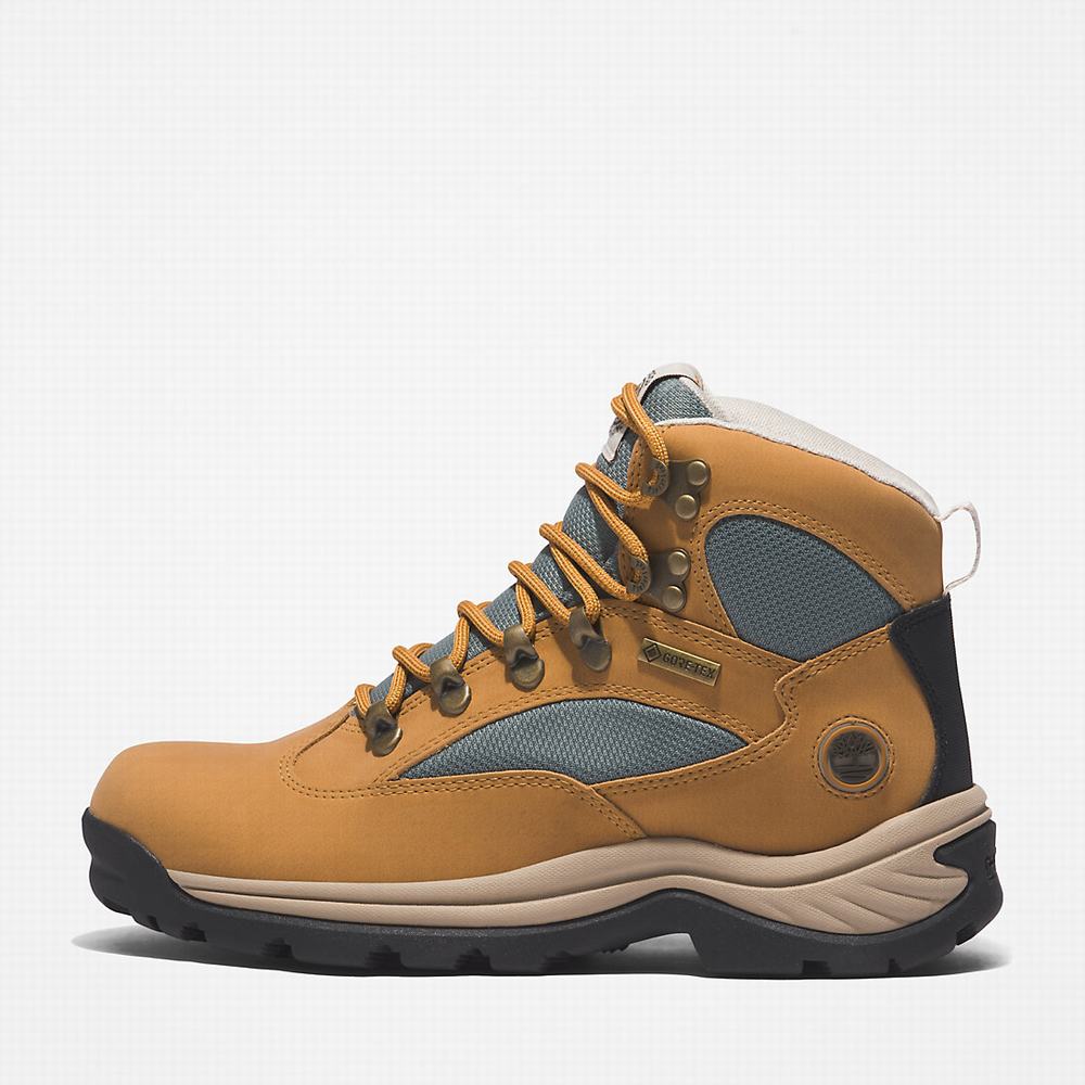 Dámské Trekové Boty Timberland Chocorua Gore-Tex® Světle Hnědé | TI75128-283