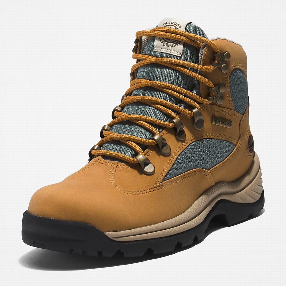 Dámské Trekové Boty Timberland Chocorua Gore-Tex® Světle Hnědé | TI75128-283