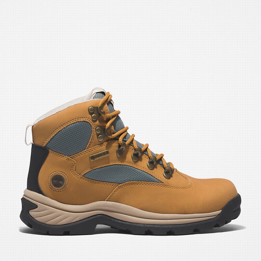 Dámské Trekové Boty Timberland Chocorua Gore-Tex® Světle Hnědé | TI75128-283