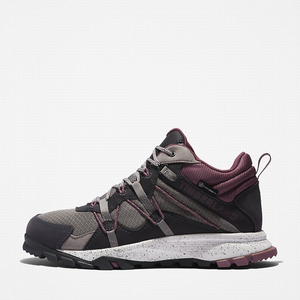 Dámské Trekové Boty Timberland Garrison Trailové Tmavě Šedé | TI84072-526