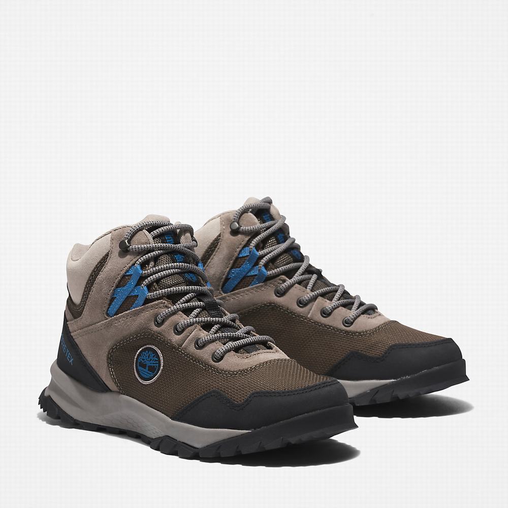 Dámské Trekové Boty Timberland Lincoln Peak Gore-Tex® Hnědé | TI01642-097