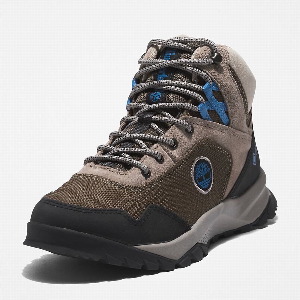 Dámské Trekové Boty Timberland Lincoln Peak Gore-Tex® Hnědé | TI01642-097