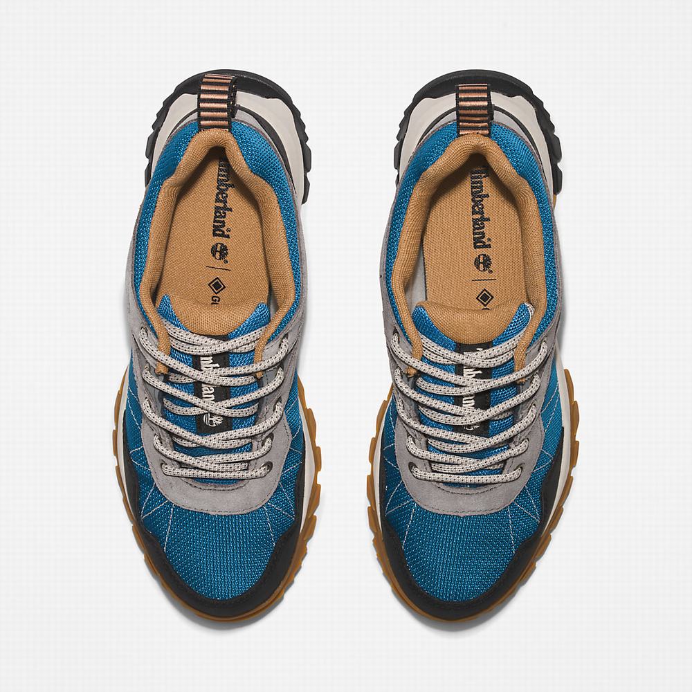 Dámské Trekové Boty Timberland Lincoln Peak Gore-Tex® Low Hiker Šedé | TI51406-980