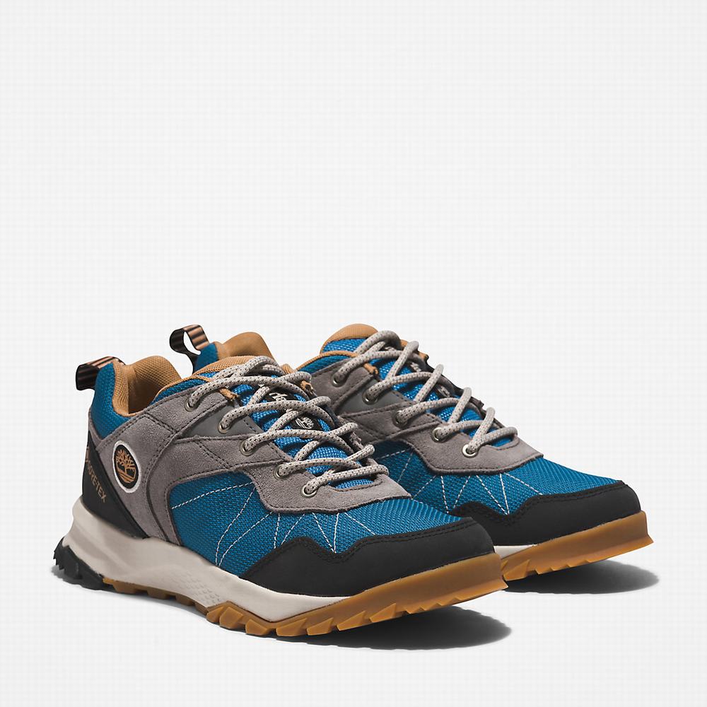 Dámské Trekové Boty Timberland Lincoln Peak Gore-Tex® Low Hiker Šedé | TI51406-980